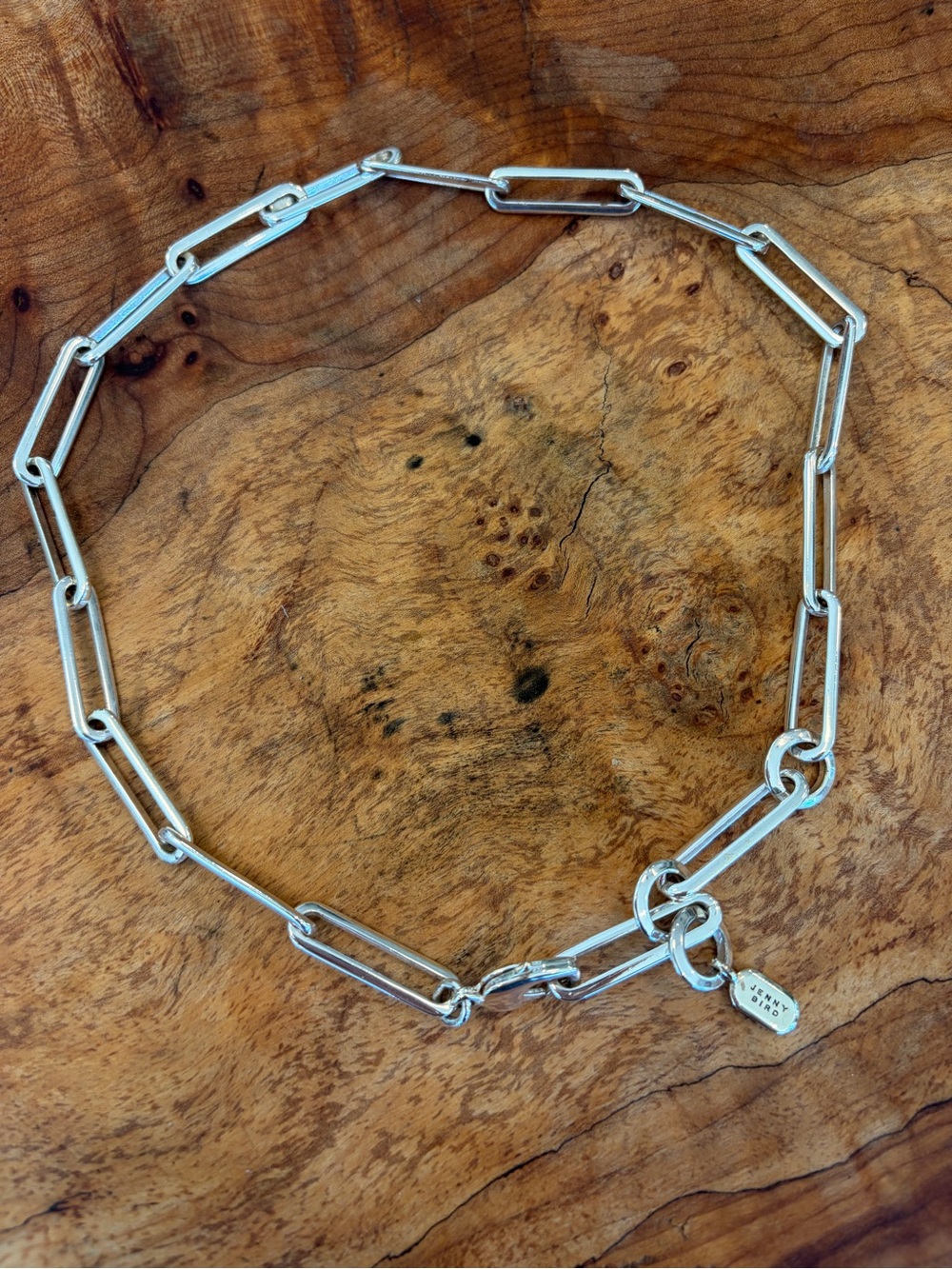 Jenny Bird Silver Paperclip Link Necklace with Tag